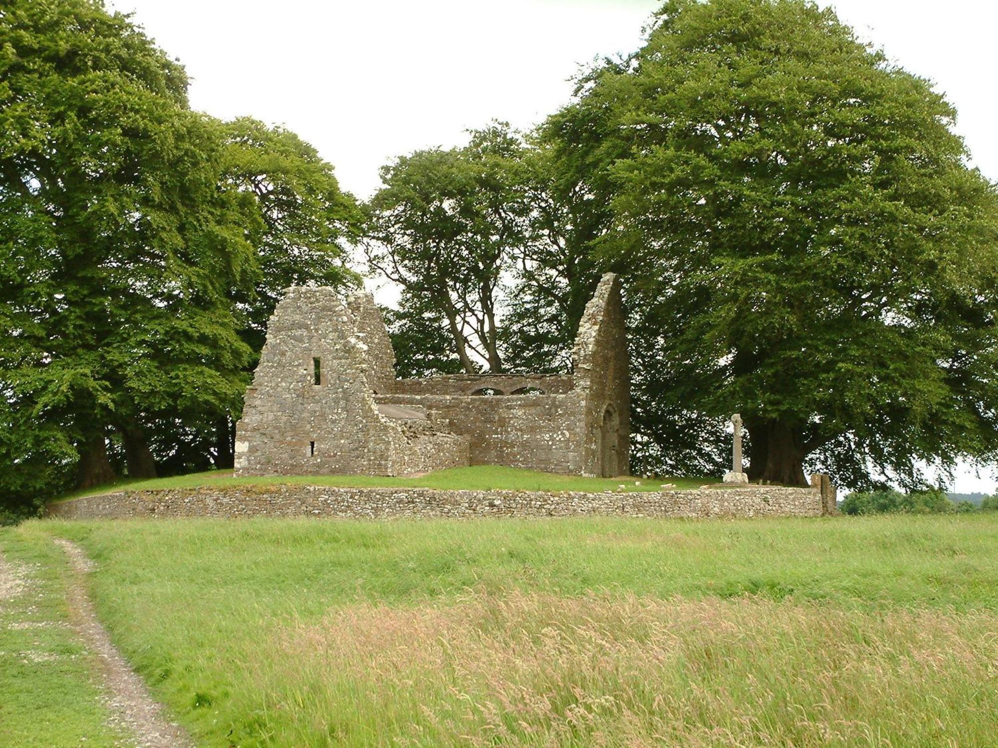 Slidala B&B Roscrea Bagian luar foto